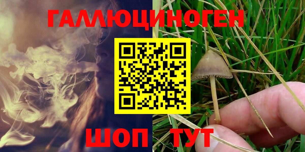 Галлюциногенные грибы мухоморы Самара
